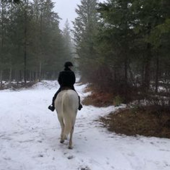 Meet your Posher, Anita - Picture 1 of 1